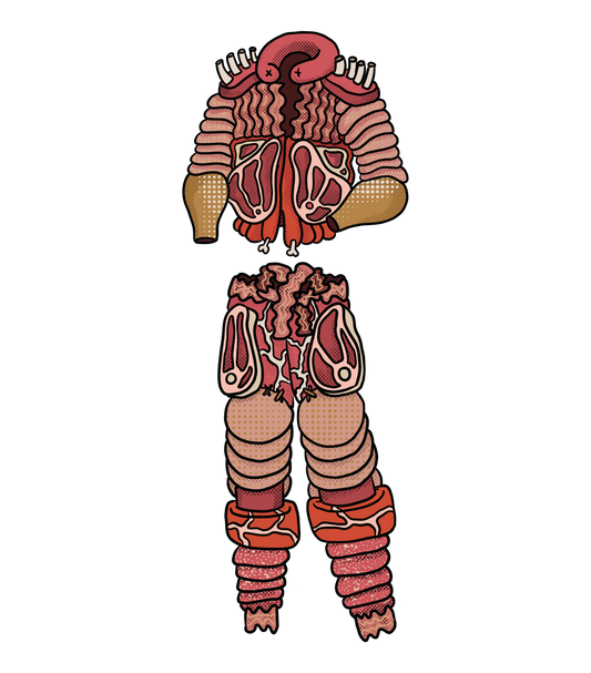 Food Groups as Winter Wear - Meats