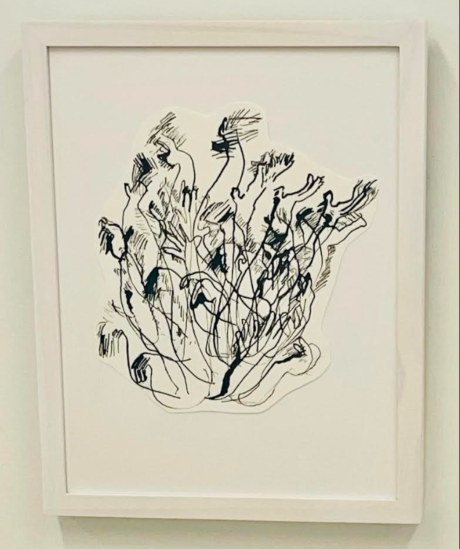 Megan Hildebrandt, Baby Hand Bush